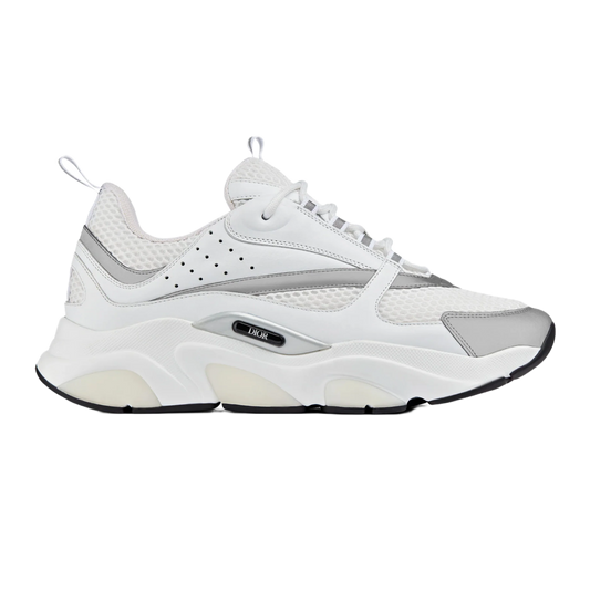 Dior B22 'White Grey'